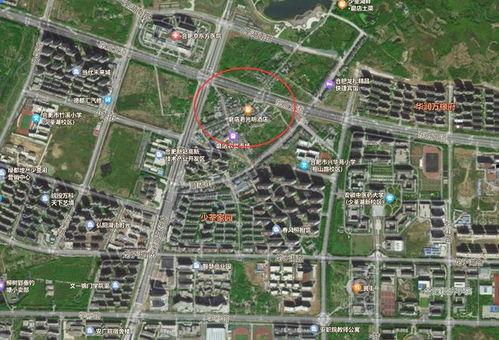 合肥新站区新闻爆料,聚焦区域发展新动态